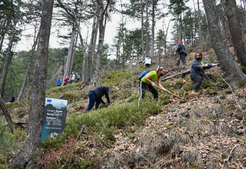 Akcija sadnje drveća - Mladi volonteri zasadili više od 6000 sadnica uz poruku „Jedno drvo čini razliku!“